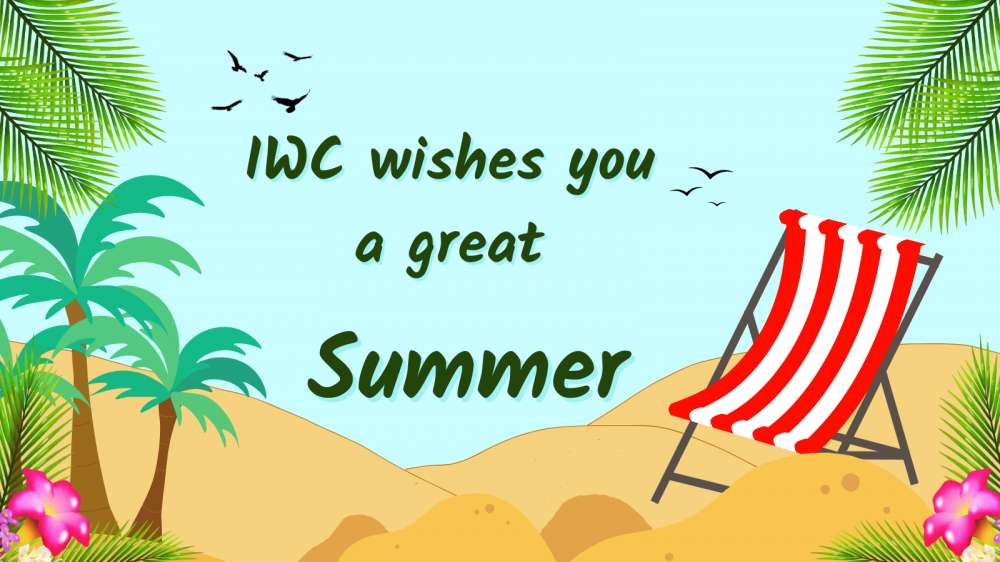 July 1st 2024 – IWC Newsletter